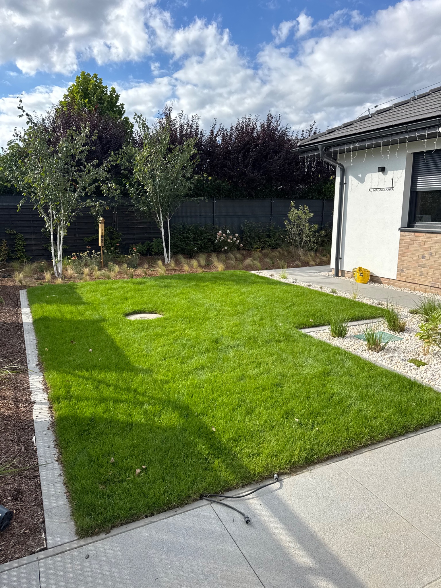 Zadbany trawnik z rolki w nowoczesnym ogrodzie, obrzeża z jasnoszarej kostki, drzewa o białej korze, tło z ciemnego ogrodzenia i domu z adresem 'Al. Magnoliowa 1'.