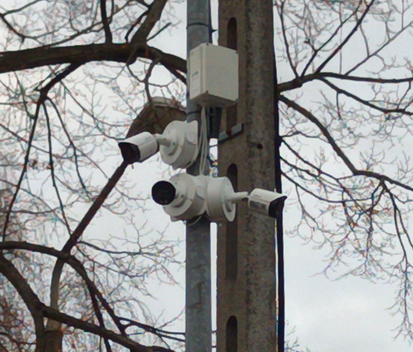 Zestaw trzech białych kamer przemysłowych na słupie oświetleniowym, skierowanych w różnych kierunkach. Widoczne drzewa bez liści i szare niebo.