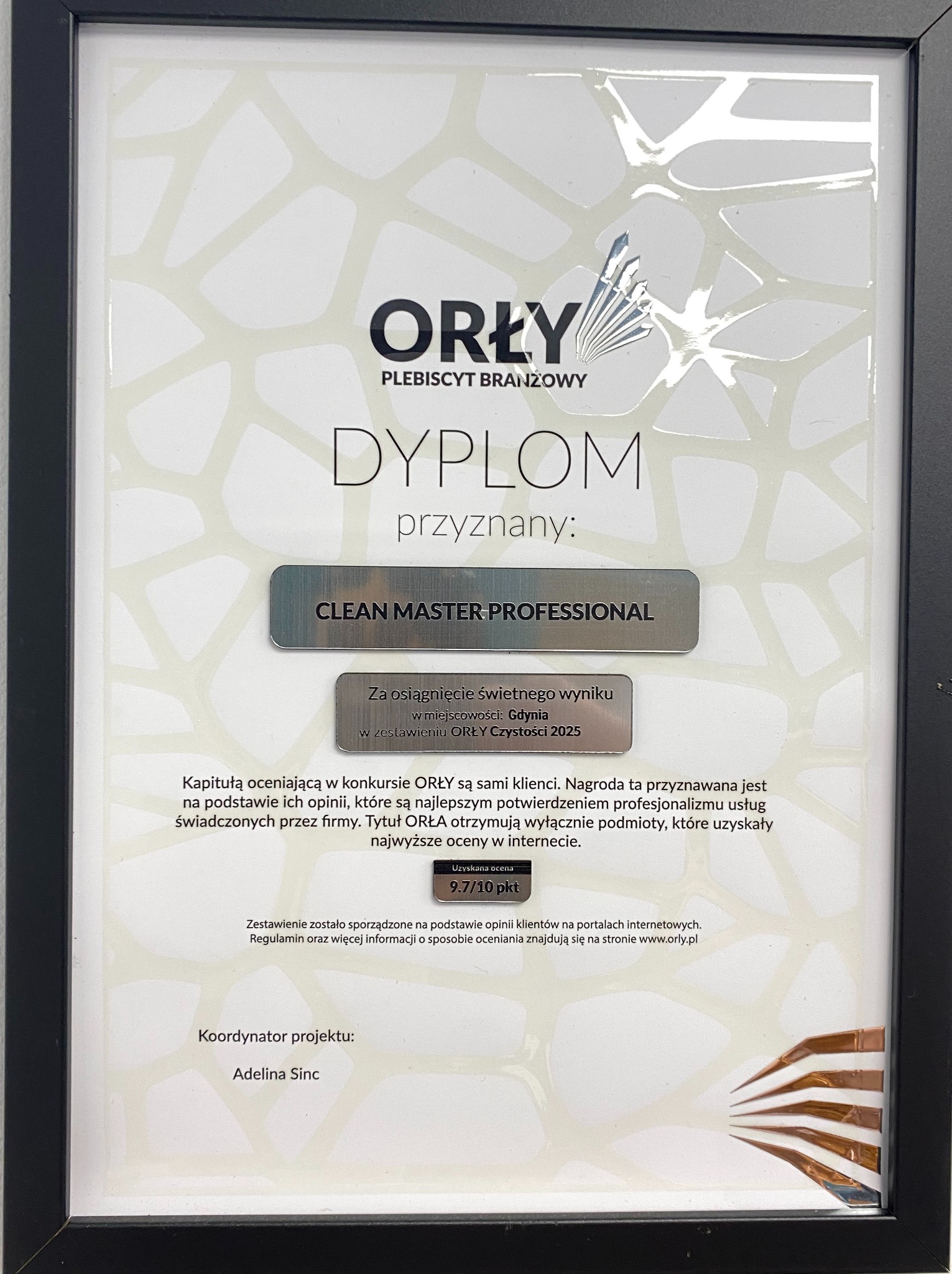 Dyplom 'Orły Plebiscytu Branżowego' dla Clean Master Professional za świetny wynik w Gdyni w zestawieniu Orły Czystości 2025. Uzyskana ocena 9.7/10.