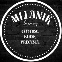 Dawid Pauba - Logo stworzone przeze mnie, do salonu detailingowego.