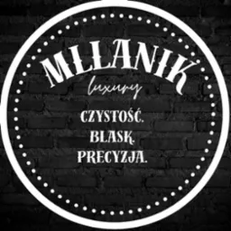 Logo stworzone przeze mnie, do salonu detailingowego.