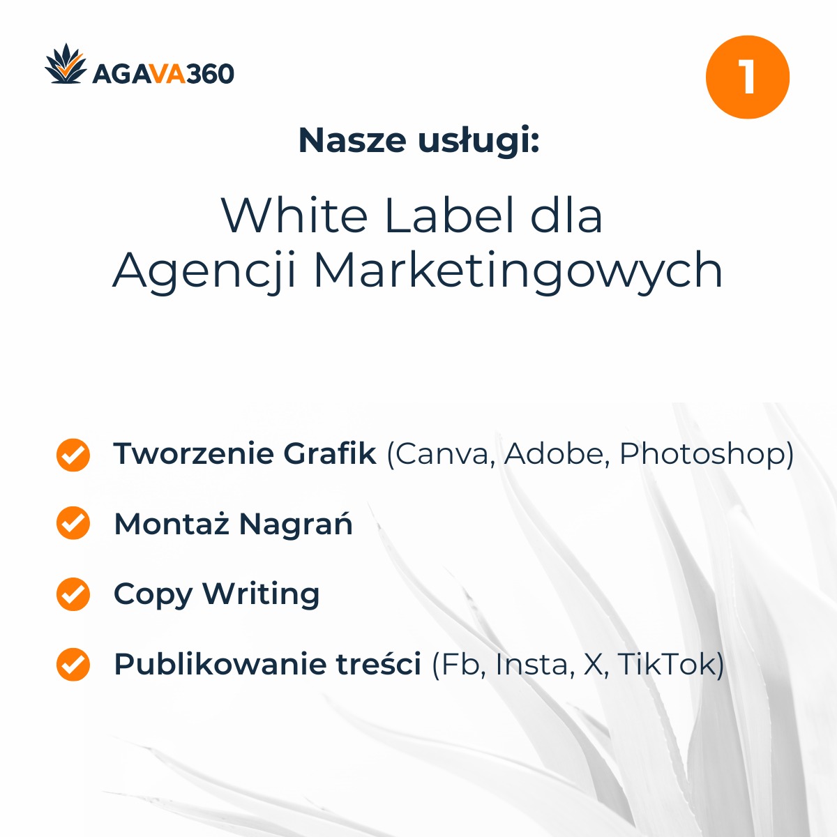 Agava360: White Label dla agencji marketingowych. Tworzenie grafik (Canva, Adobe, Photoshop), montaż nagrań, copywriting, publikowanie treści (Fb, Insta, X, TikTok).