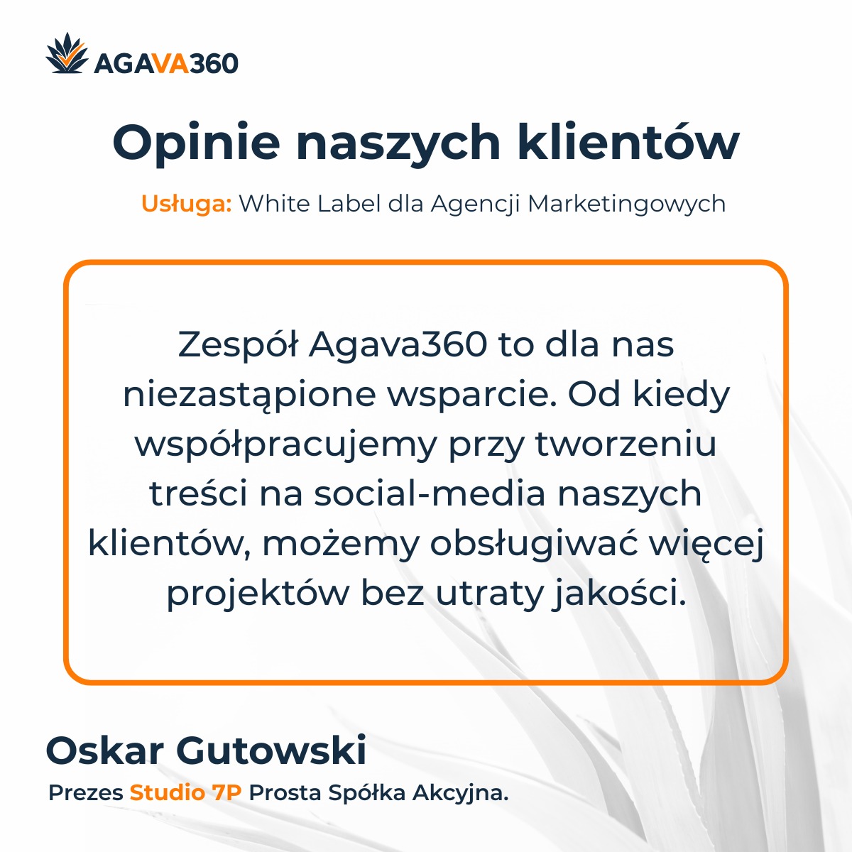 Opinia klienta Agava360: Zespół to niezastąpione wsparcie w tworzeniu treści na social media, pozwalające obsługiwać więcej projektów bez utraty jakości.