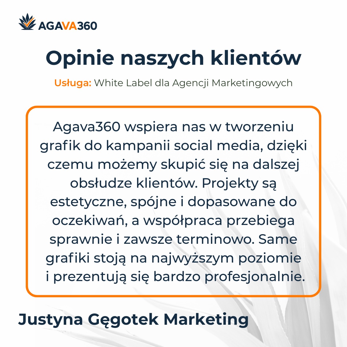 Referencja klienta Agava360, podkreślająca wsparcie w tworzeniu grafik do social mediów, estetykę projektów i terminowość współpracy. Sygnatura Justyna Gęgotek Marketing.