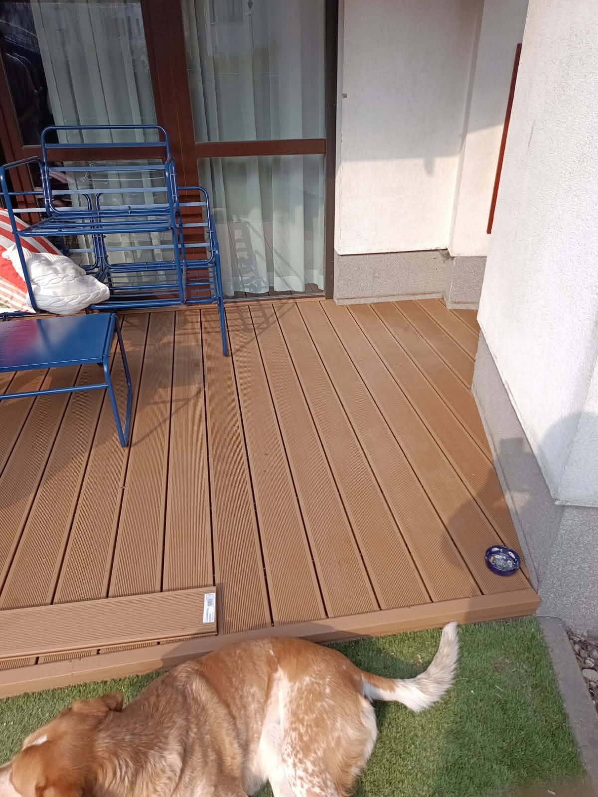 Jasnobrązowy taras kompozytowy z widocznymi deskami, niebieskimi krzesłami i psem leżącym na zielonej trawie. Widok na okno z zasłonami i fragment ściany budynku.