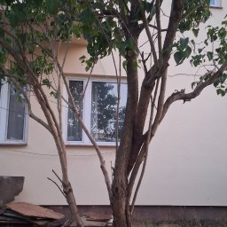 Auto złom Warszawa 2