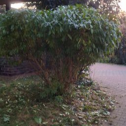 Auto złom Warszawa 3