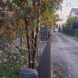 Auto złom Warszawa 4