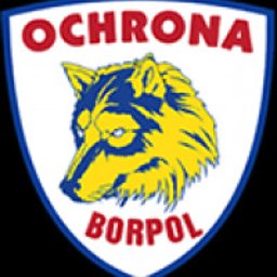 Agencja Ochrony Osób i Mienia BORPOL - Doskonałej Jakości System Monitoringu Środa Wielkopolska