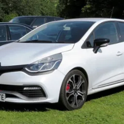 Biały Renault Clio RS na trawie, z widoczną tablicą rejestracyjną LP65 PTE, felgi w kolorze grafitowym, czerwone zaciski hamulcowe. Inne auta w tle.