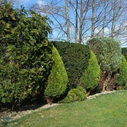 Jacek Wyrwas VERDE - 