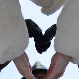 Fotograf ślubny Kraków 1