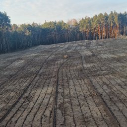 Wycinka drzew Tomaszów Mazowiecki 1