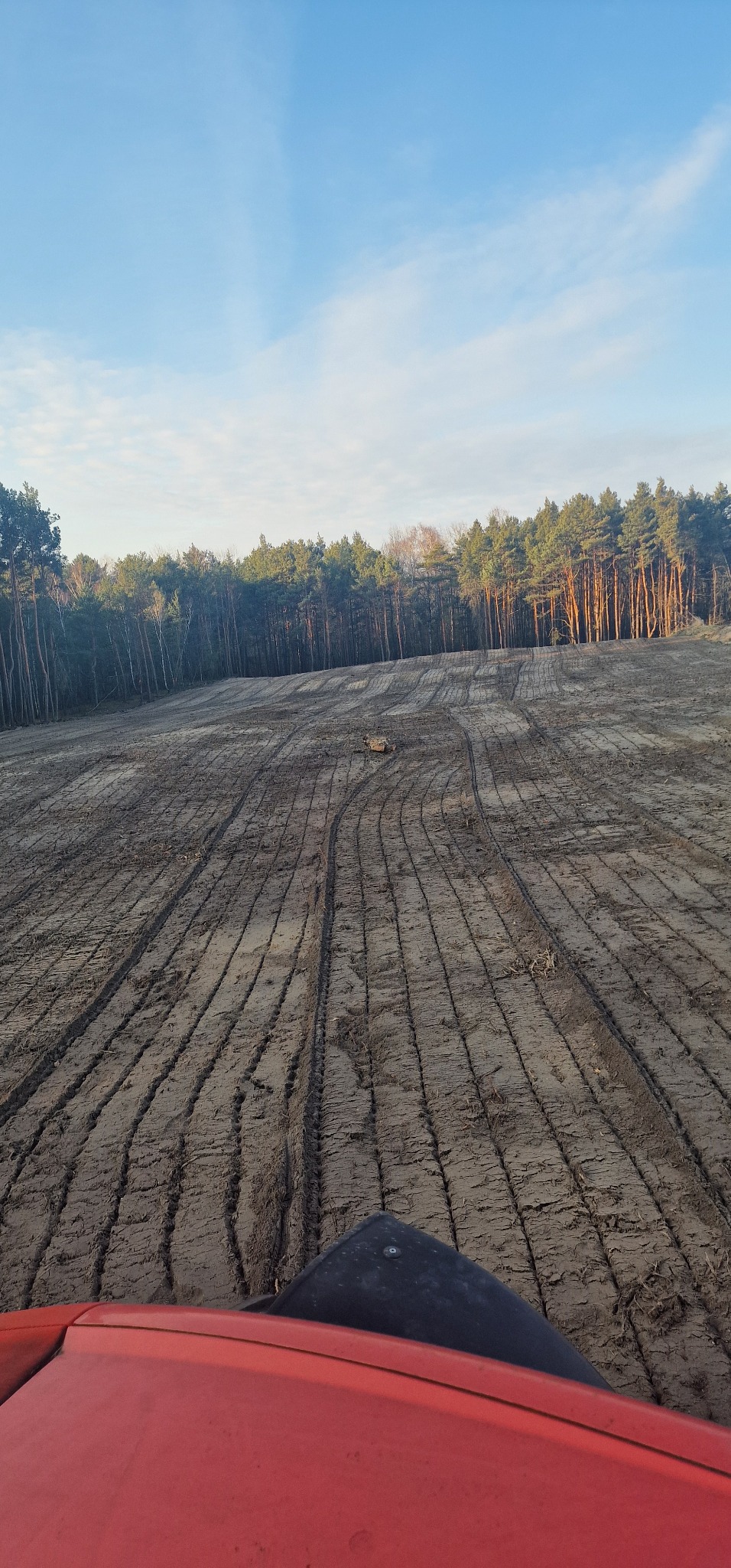 Nierówny, przygotowany teren pod trawnik z widocznymi śladami opon ciągnika, na horyzoncie las iglasty pod błękitnym niebem.