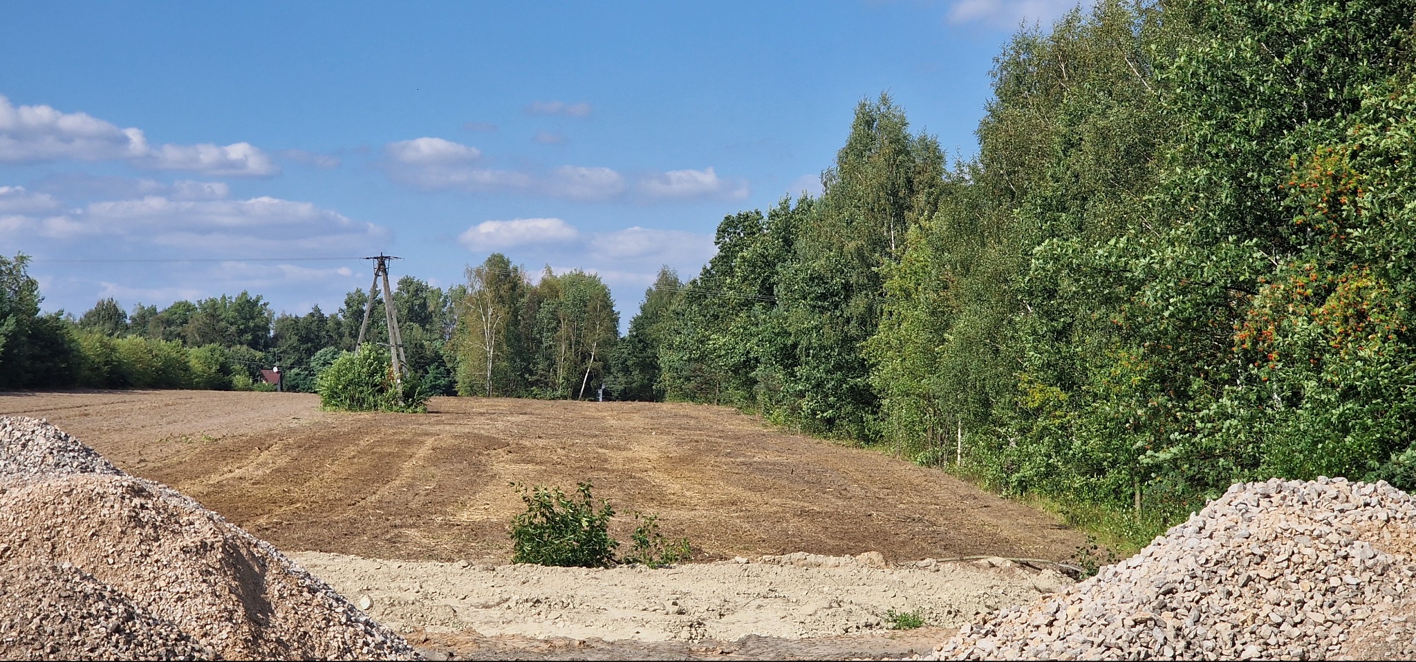 Przygotowany teren pod trawnik, widoczne ślady po maszynach, hałdy kamieni na pierwszym planie, w tle drzewa i błękitne niebo z chmurami.