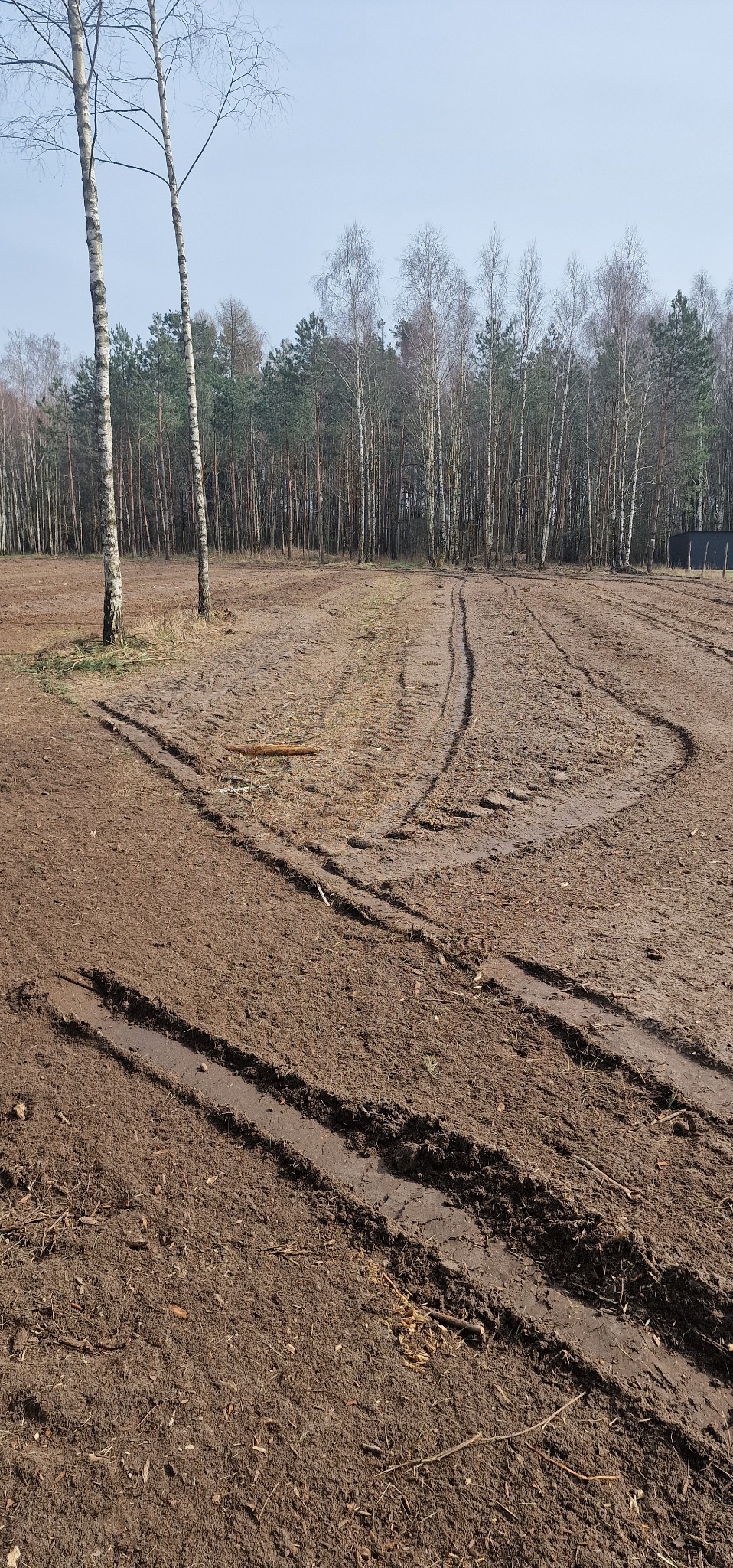 Przygotowany teren pod trawnik z widocznymi śladami opon. W tle las mieszany i błękitne niebo.
