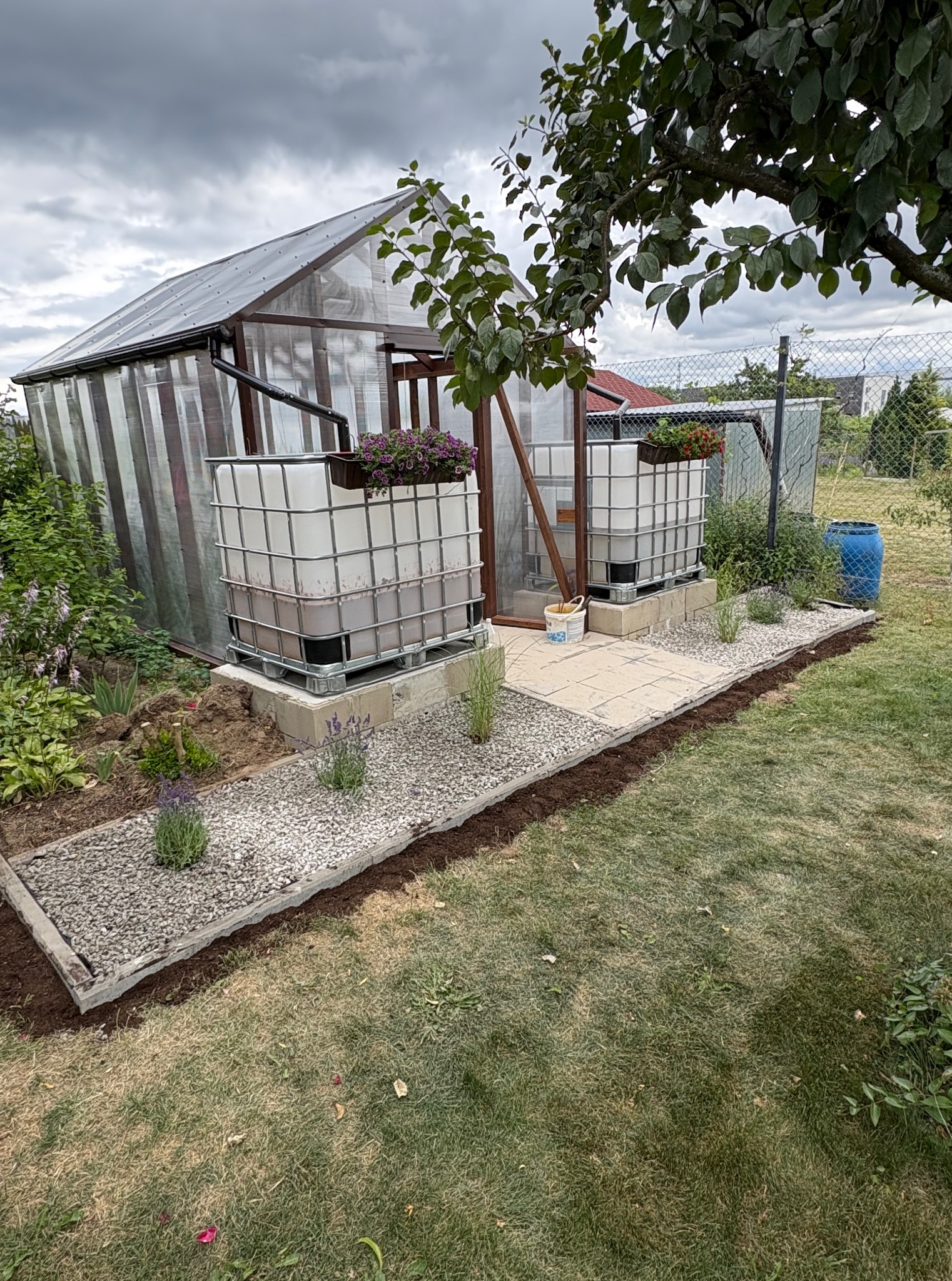 Szklarnia z systemem zbierania wody deszczowej, zbiorniki IBC na betonowych podstawach z kwiatami, wykończone kamiennym obrzeżem i ścieżką z płyt.