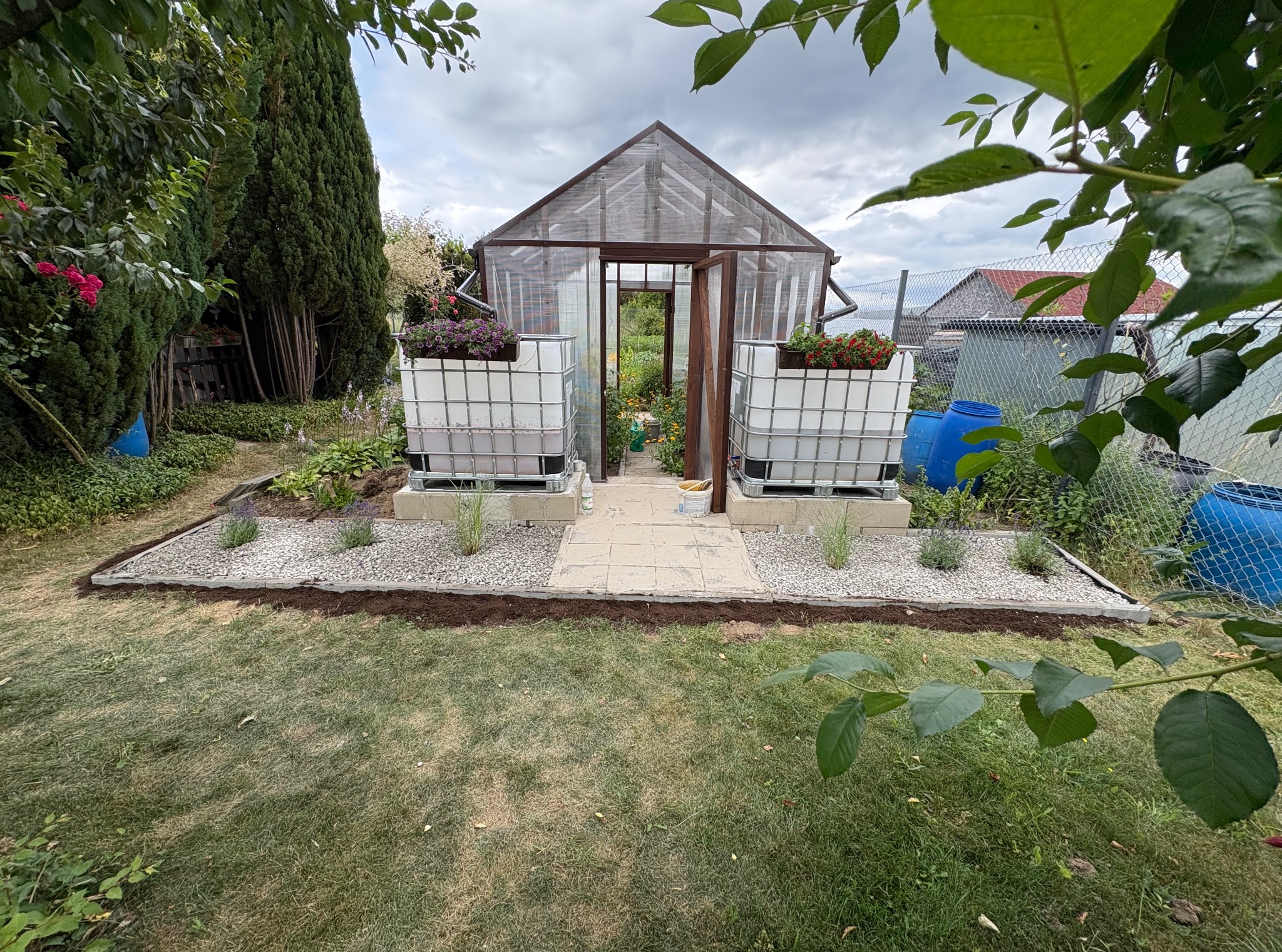 Szklarnia z otwartymi drzwiami, obok białe zbiorniki z kwiatami, ścieżka z płyt, rabaty z kamyków, trawnik i zieleń. Lekko pochmurne niebo.