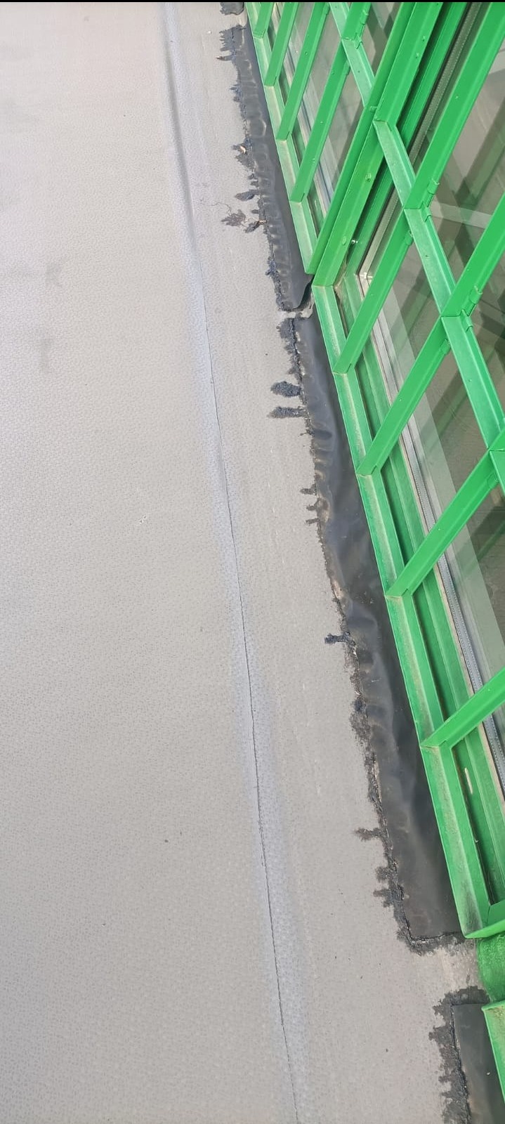 Szary, płaski dach z widocznym łączeniem papy bitumicznej i zieloną metalową konstrukcją okienną przy krawędzi.