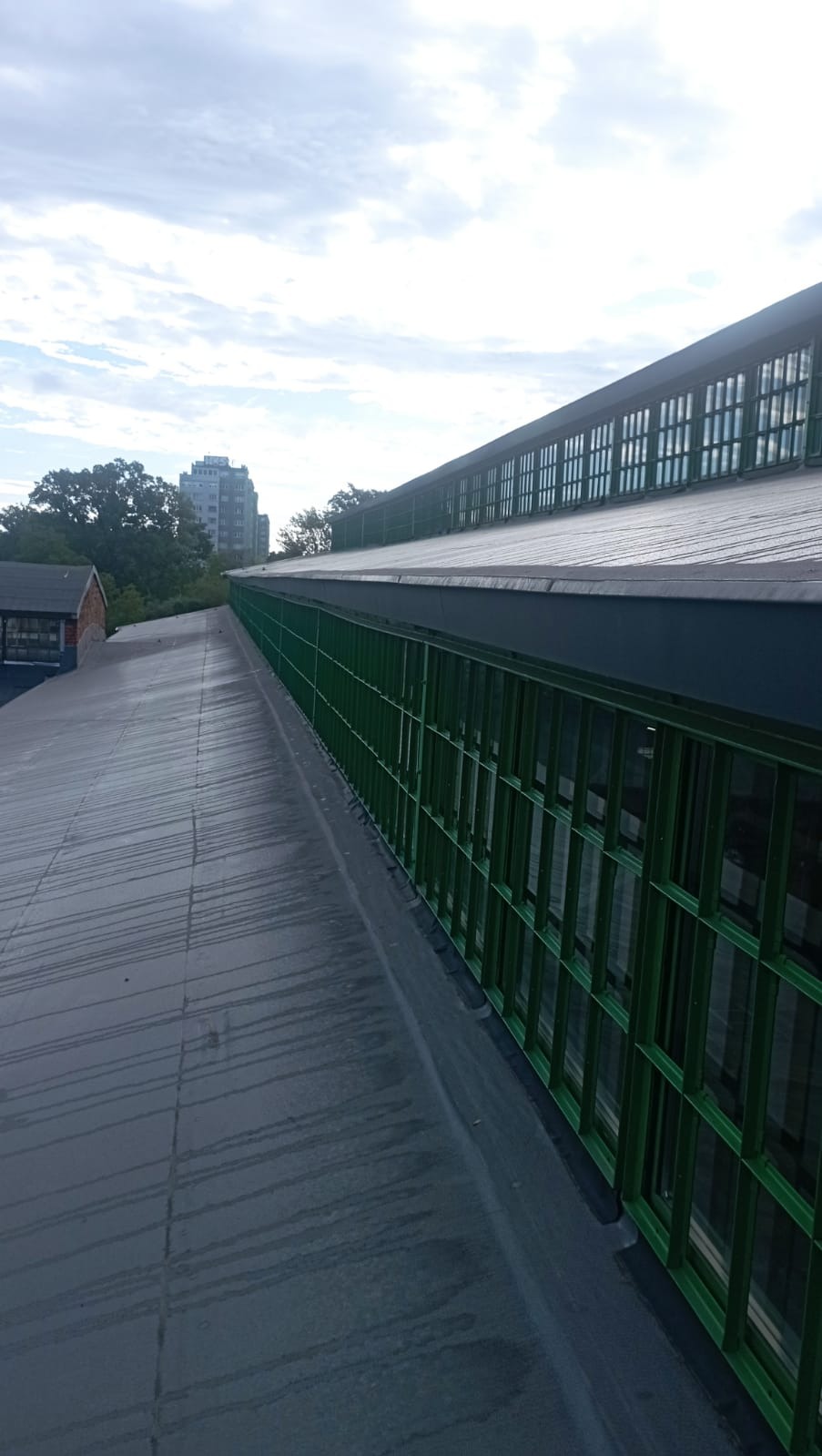 Długi, płaski dach przemysłowy z metalowym pokryciem i zieloną konstrukcją okienną. W tle budynek i drzewa, pochmurne niebo.