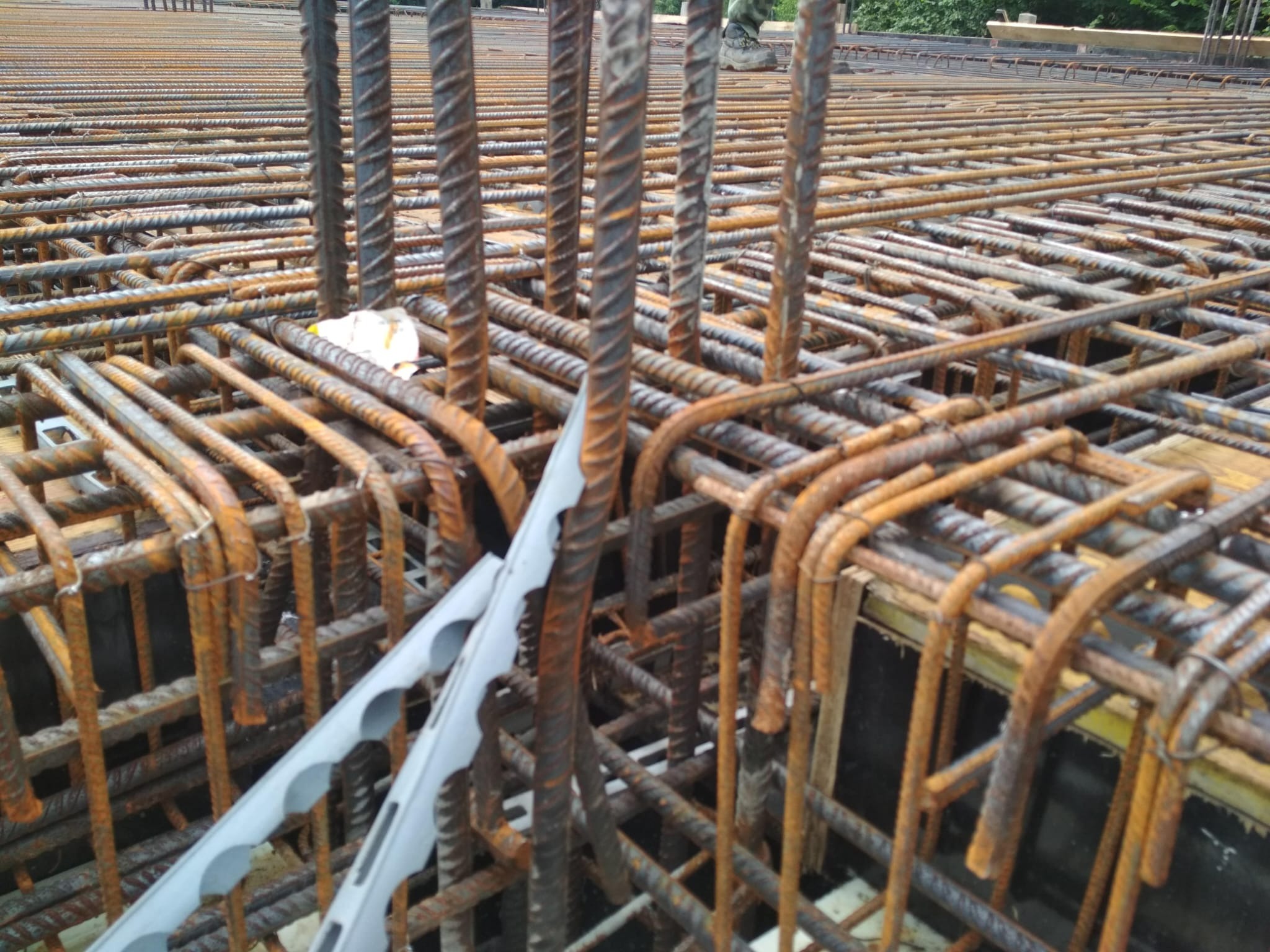 Zbrojenie stropu z widocznymi prętami żebrowanymi i elementami dystansowymi. Przekrój zbrojenia z bliska, widoczne detale konstrukcyjne i etap prac budowlanych.