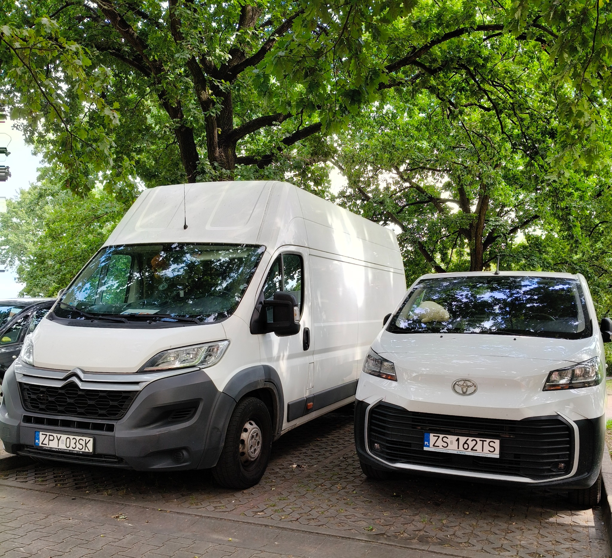Dwa białe busy (Citroen i Toyota) zaparkowane obok siebie na brukowanym parkingu, w tle zieleń drzew. Widoczne tablice rejestracyjne pojazdów.