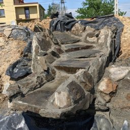 Wycinka drzew Dzięgielów 1