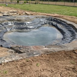 Wycinka drzew Dzięgielów 2