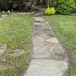 Wycinka drzew Dzięgielów 4