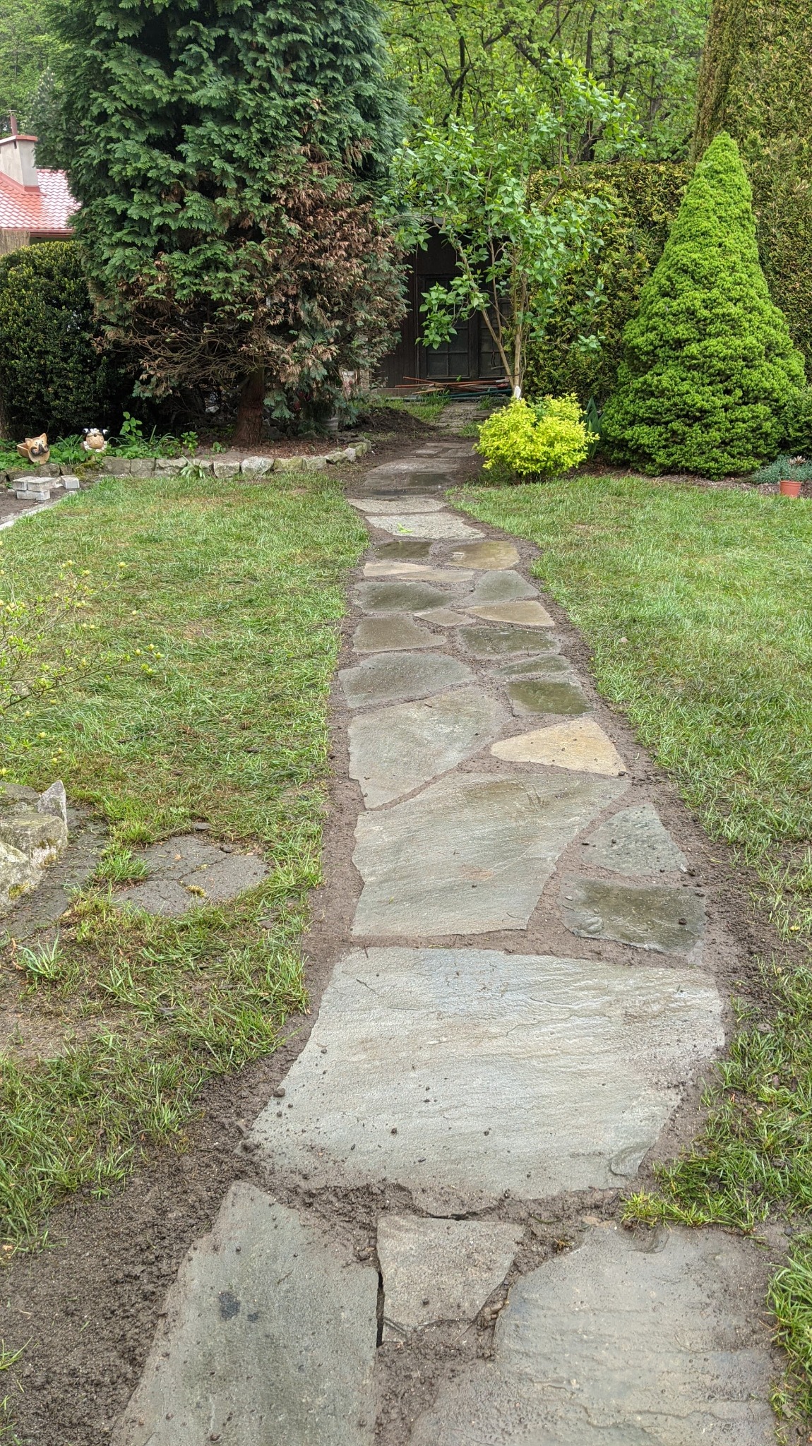Ścieżka z nieregularnych płyt kamiennych w ogrodzie, prowadząca przez trawnik w kierunku zieleni. Widoczne krzewy i drzewa iglaste. Ślady świeżych prac ziemnych.