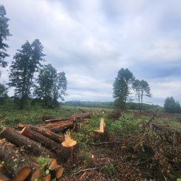 Karol Łogusz Handel - Usługi - Perfekcyjna Firma Ogrodnicza w Sulęcinie