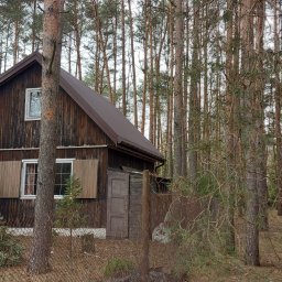 DACHY Krystian Witecki - 