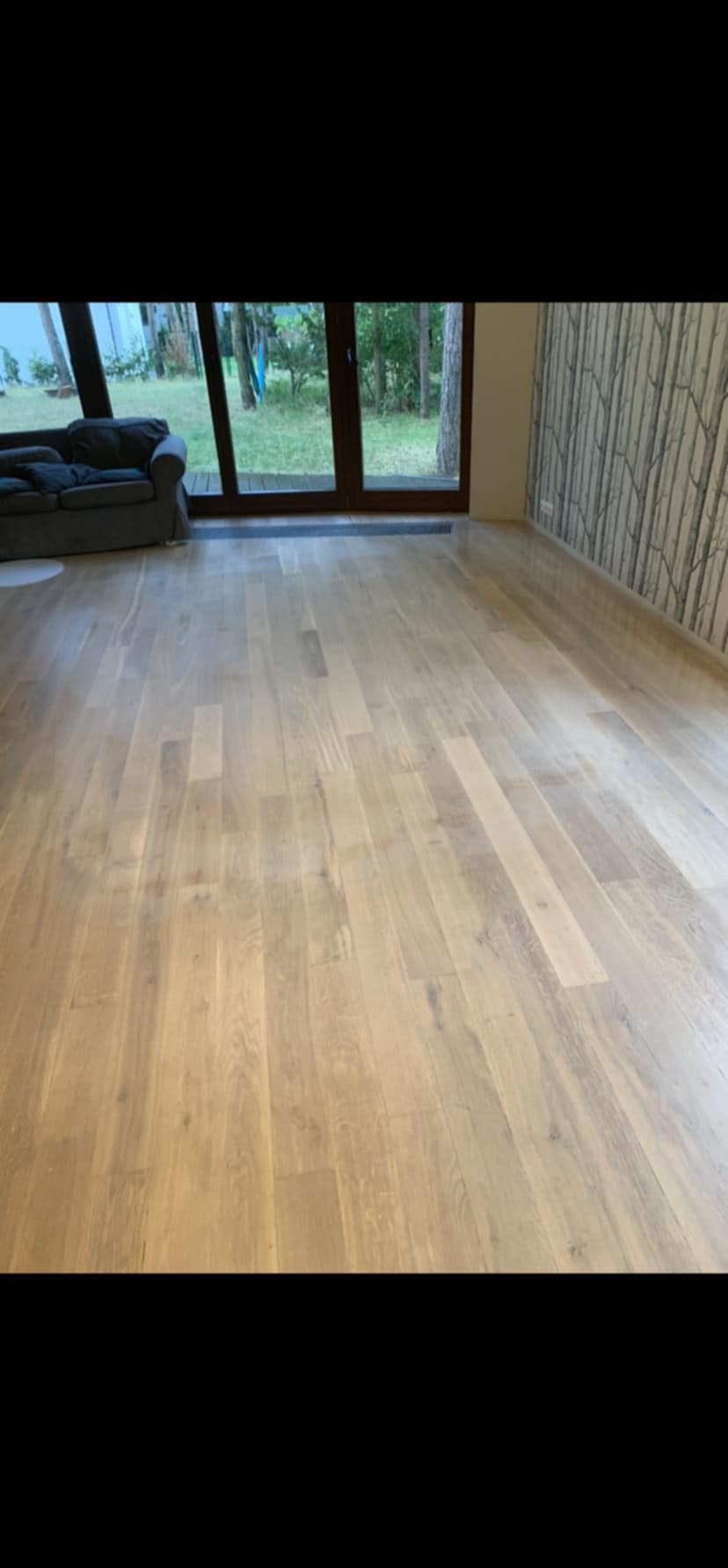 Jasny parkiet w salonie z szarą sofą i tapetą w drzewa. Widok na zewnątrz przez duże okno. Parkiet ułożony równolegle do ściany z tapetą.