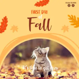 Grafika z kotem na tle jesiennych liści i napisem 'First Day of Fall. It's time to get cozy'. W prawym górnym rogu ikony mediów społecznościowych.