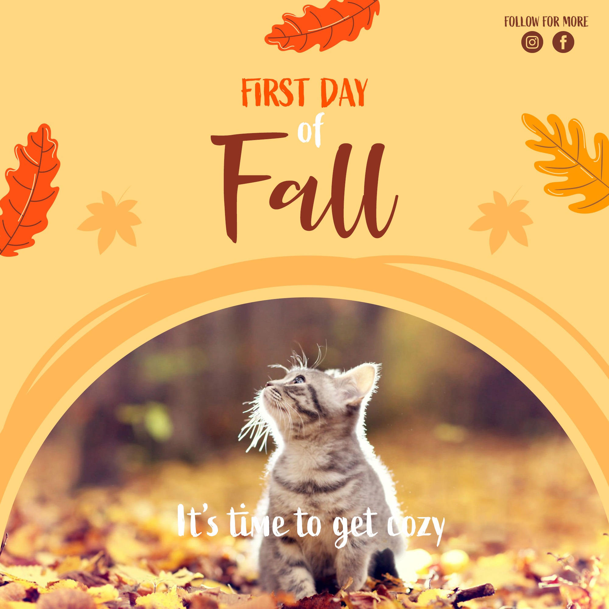 Grafika z kotem na tle jesiennych liści i napisem 'First Day of Fall. It's time to get cozy'. W prawym górnym rogu ikony mediów społecznościowych.