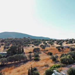 Adam Żurawicki - Panoramiczny widok z lotu ptaka na pagórkowaty krajobraz z domami i drzewami oliwnymi w słoneczny dzień. Błękitne niebo i delikatne oświetlenie.