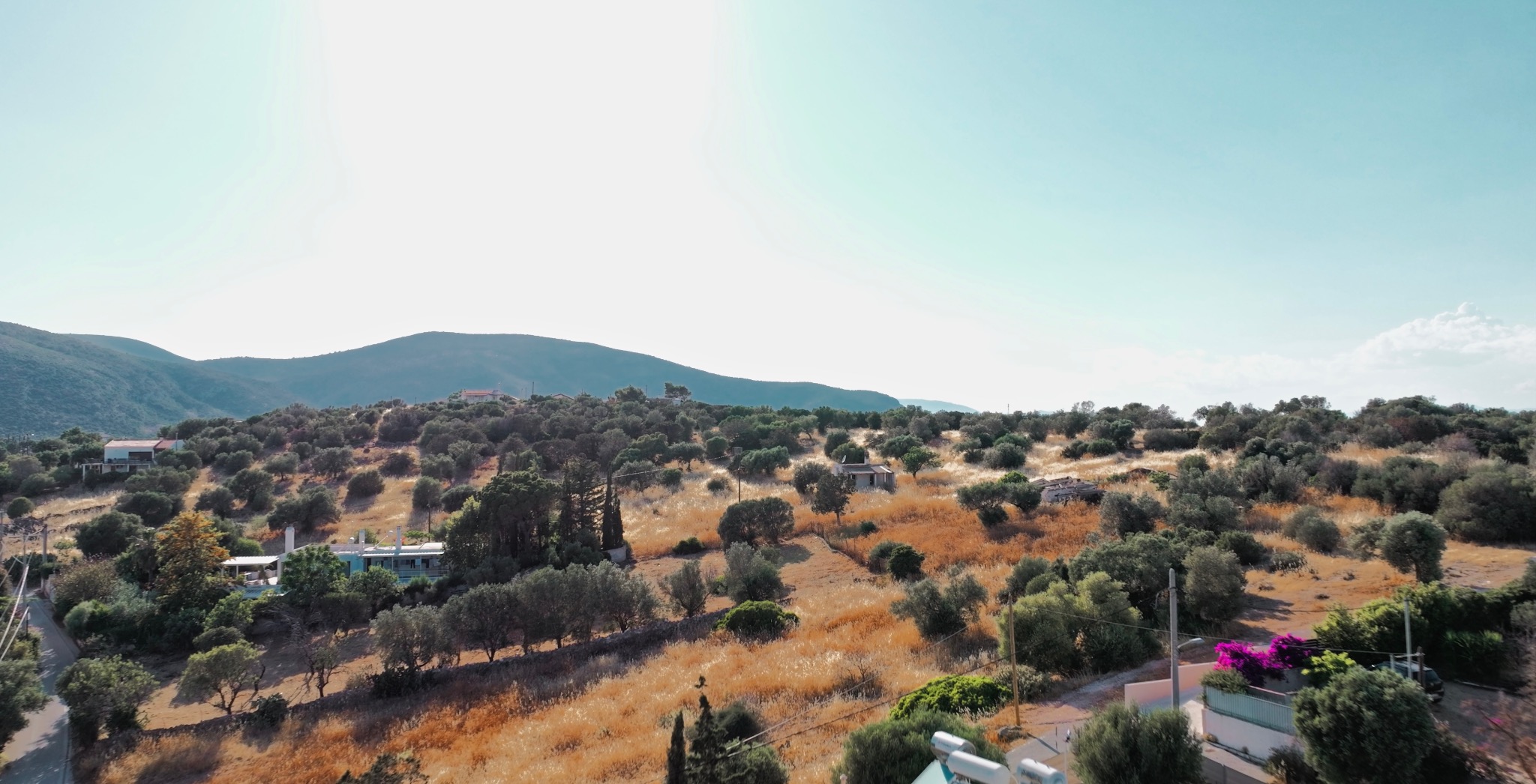 Panoramiczny widok z lotu ptaka na pagórkowaty krajobraz z domami i drzewami oliwnymi w słoneczny dzień. Błękitne niebo i delikatne oświetlenie.