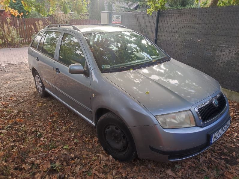 Szara Skoda Fabia Combi, widok z przodu na tle jesiennych liści i ogrodzenia. Auto z relingami dachowymi, na stalowych felgach, zaparkowane na ziemi.