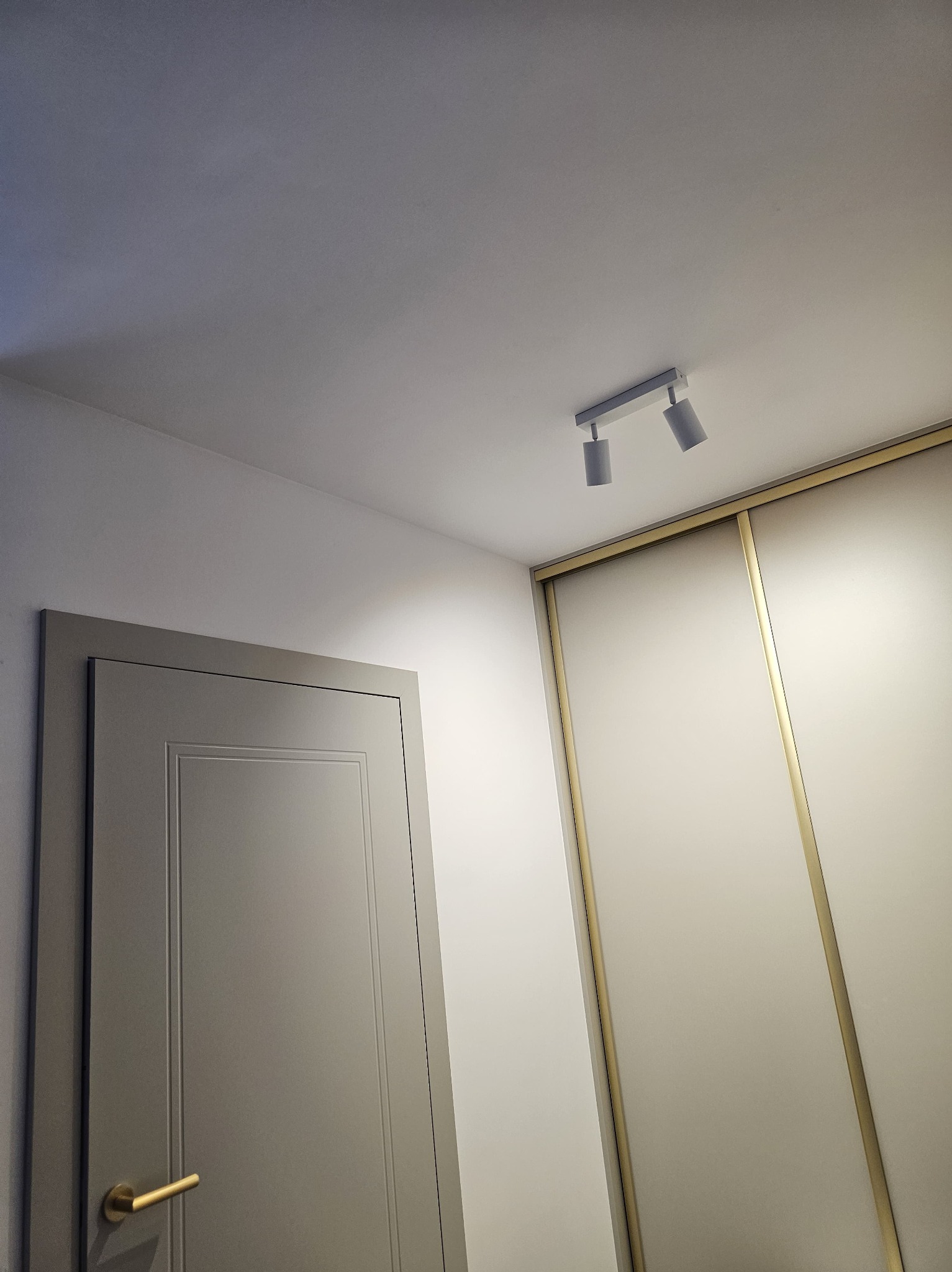 Szara, minimalistyczna aranżacja wnętrza: drzwi z złotą klamką, szafa przesuwna z ozdobnymi, złotymi listwami i nowoczesne oświetlenie sufitowe.