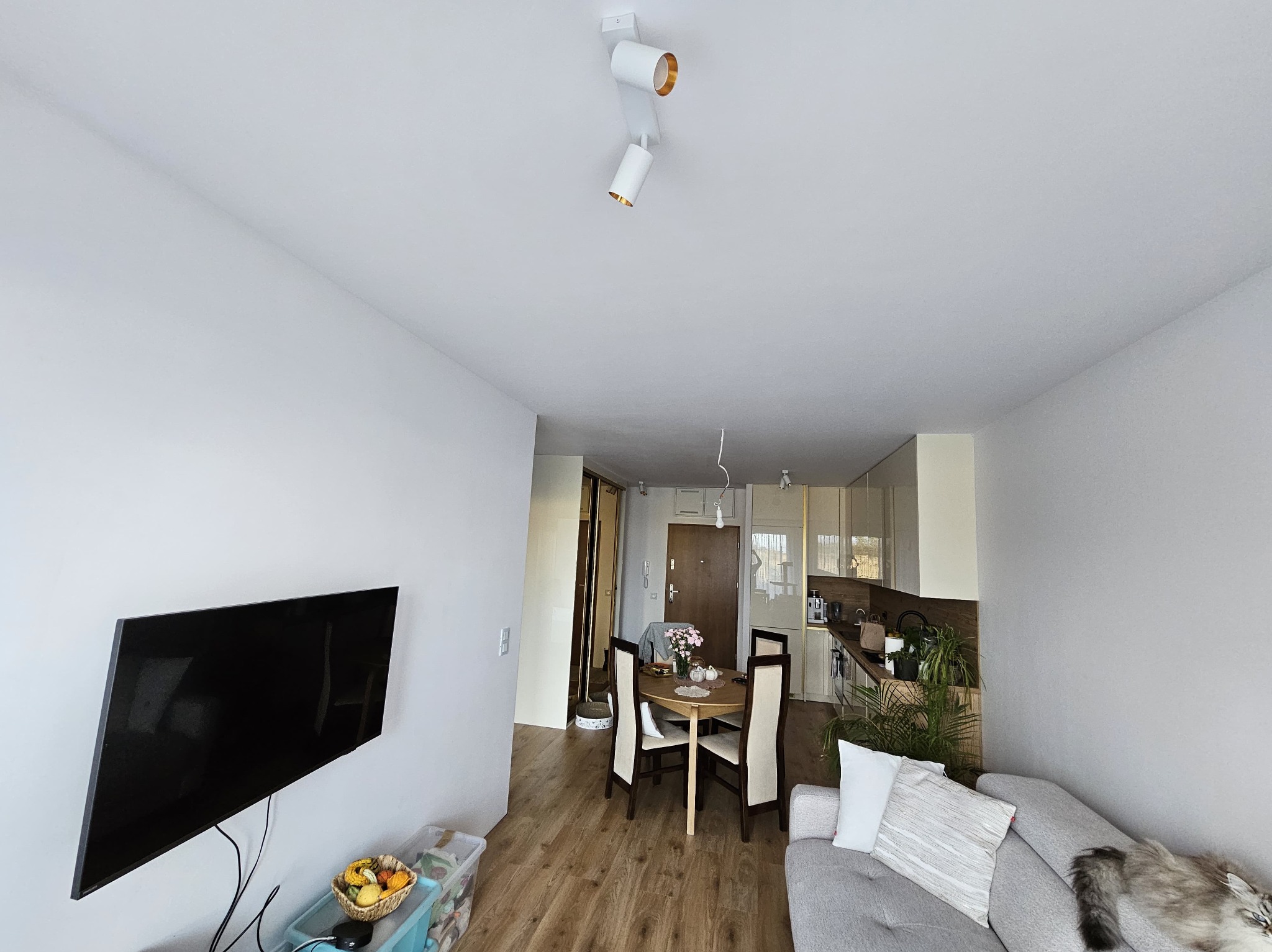 Jasne wnętrze mieszkania po remoncie: ściany pomalowane na biało, drewniana podłoga, nowoczesne oświetlenie sufitowe, telewizor na ścianie i widoczny fragment sofy.