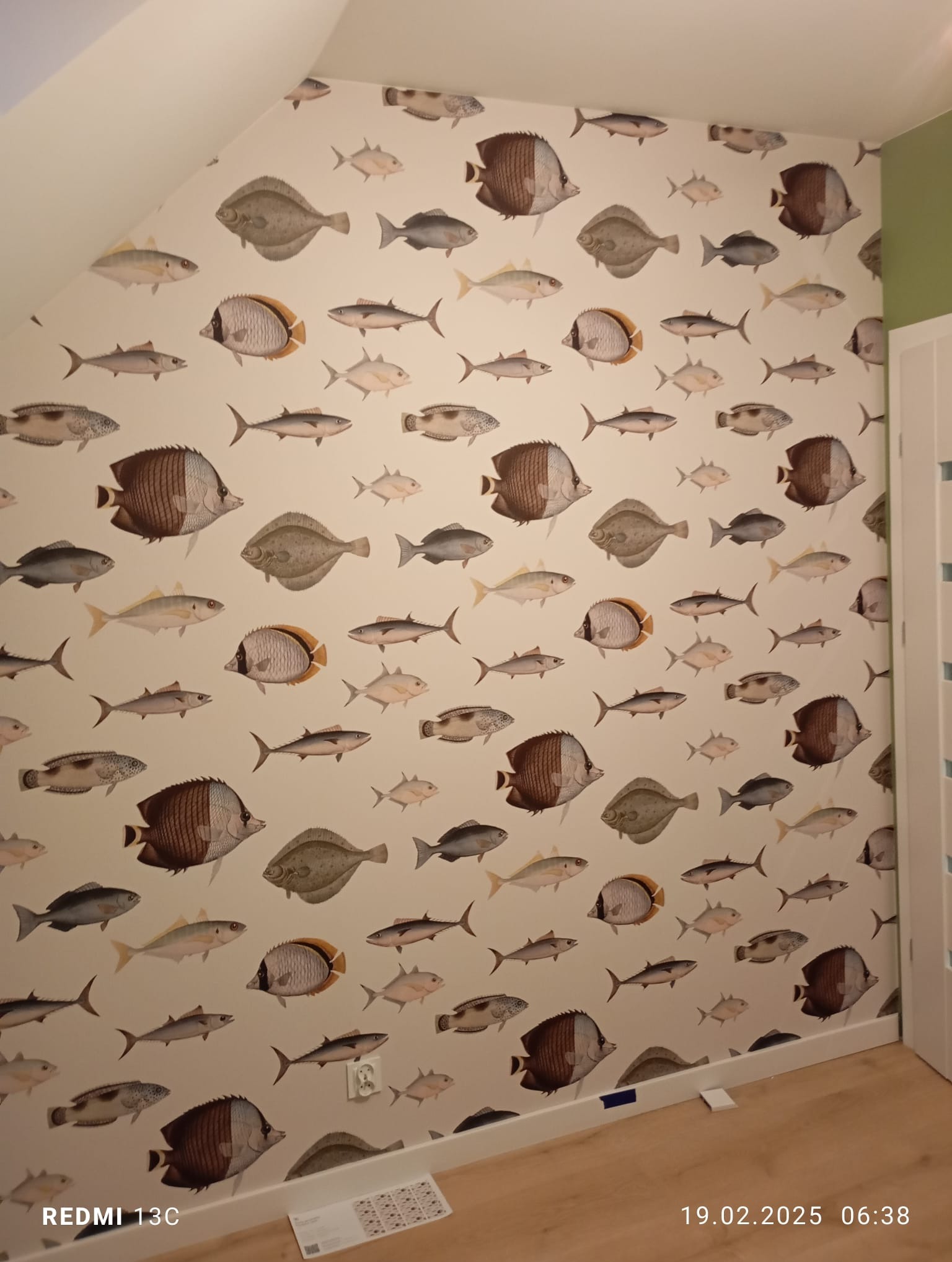 Ściana z tapetą w ryby w pokoju z białymi listwami przypodłogowymi i fragmentem białych drzwi. Tapeta w stylu vintage z różnymi gatunkami ryb.