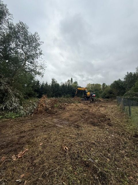 Żółta koparka na placu budowy po wycince drzew, przygotowuje teren pod inwestycję. Widoczne ścięte gałęzie i pnie drzew. Pochmurne niebo.
