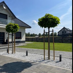 Zakładanie ogrodów Pyrzany 2