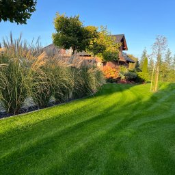 Luxform Garden Lutostańscy - Zadbany, zielony trawnik z równo przystrzyżoną trawą, ozdobne trawy wzdłuż obrzeża, w tle budynek mieszkalny i drzewa w słoneczny dzień.