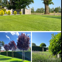 Zakładanie ogrodów Pyrzany 1