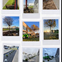 Luxform Garden Lutostańscy - Kompozycja zdjęć w stylu polaroid przedstawia etapy zakładania ogrodu: wykopy, sadzenie drzew, układanie trawy i kamienia ozdobnego wzdłuż budynku biurowego.