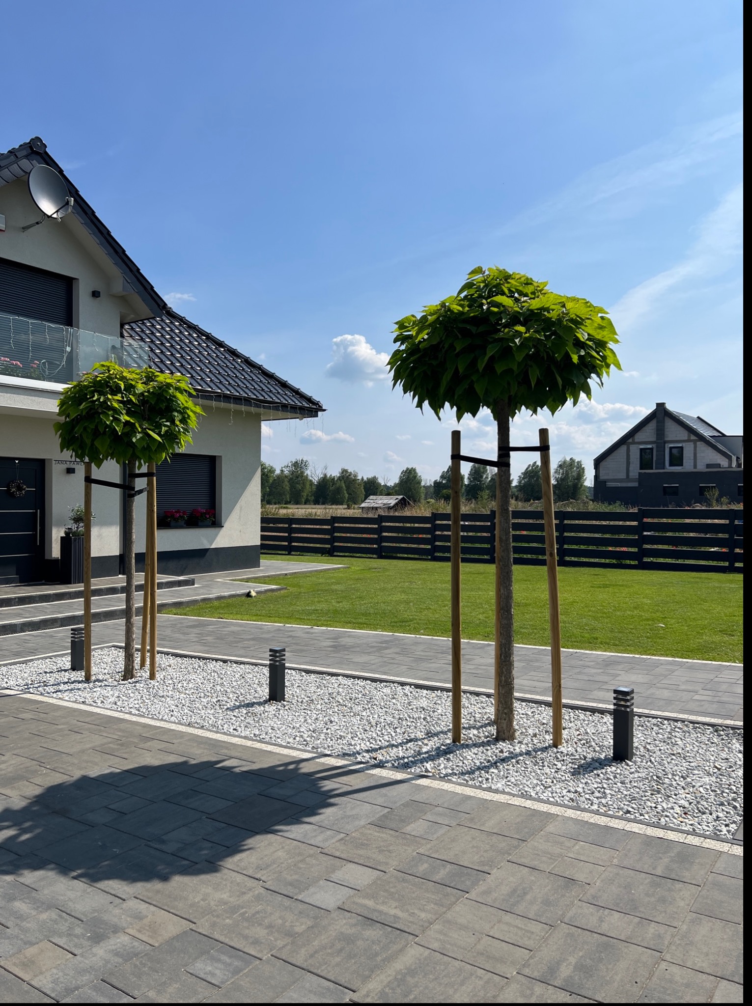 Dwa kuliste drzewa podparte drewnianymi palikami, posadzone w białym żwirze, na tle domu z ciemnym dachem i zadbanego trawnika, oświetlone słonecznym światłem.