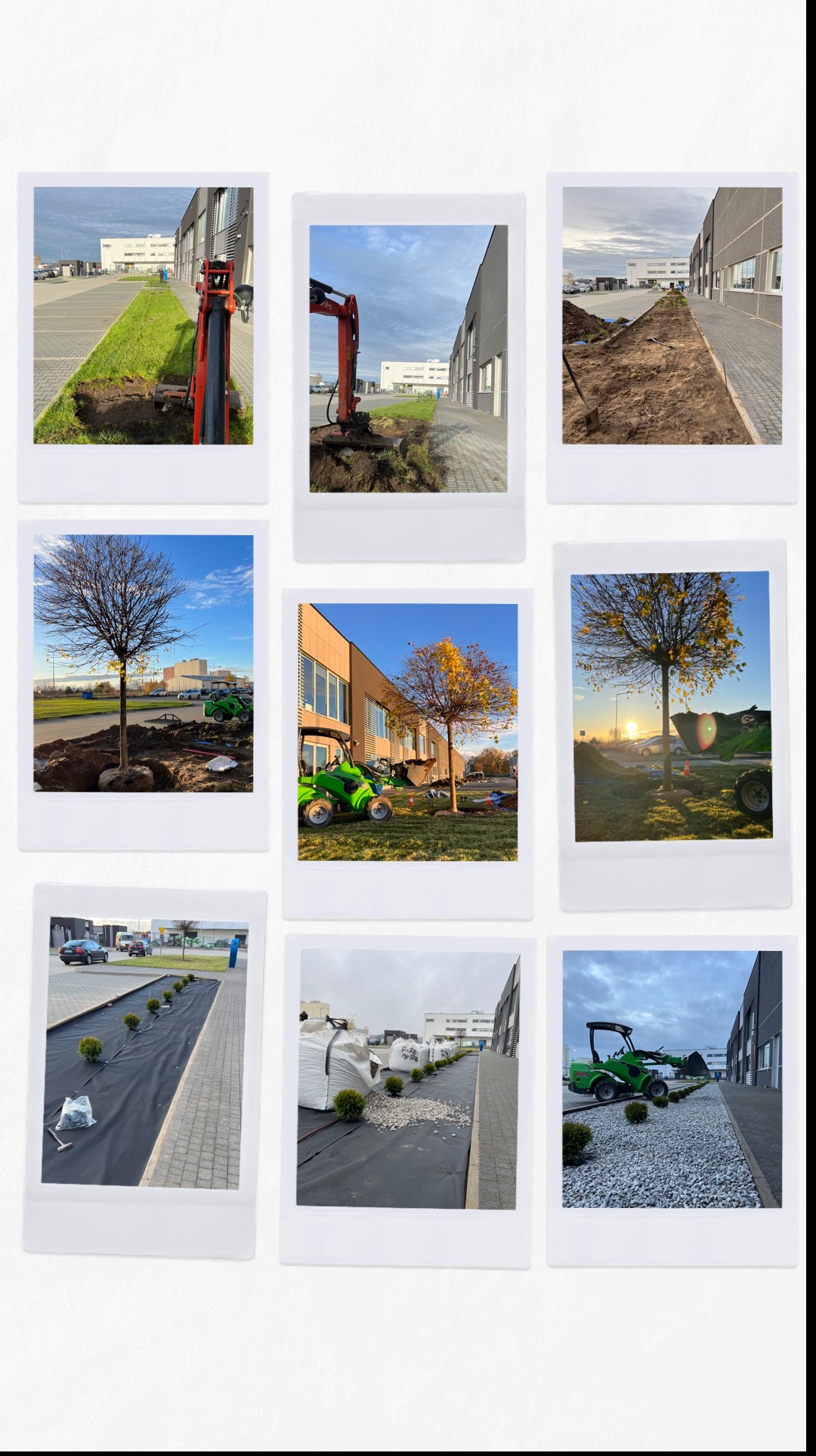 Kompozycja zdjęć w stylu polaroid przedstawia etapy zakładania ogrodu: wykopy, sadzenie drzew, układanie trawy i kamienia ozdobnego wzdłuż budynku biurowego.