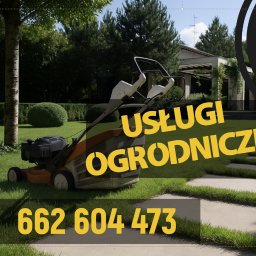 Artem Nazarov - Trawa z Rolki Wrocław