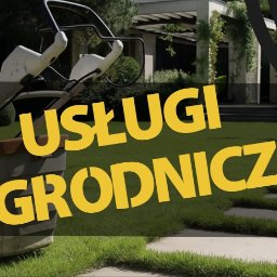 Przycinanie drzew Wrocław 1